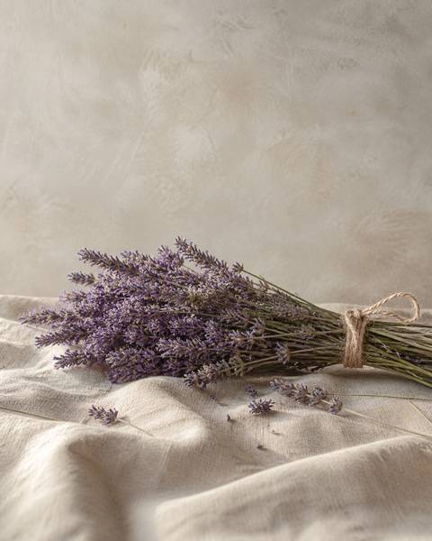 A bundle of fresh-cut lavender stems tied with twine, restrained sympathy alternative