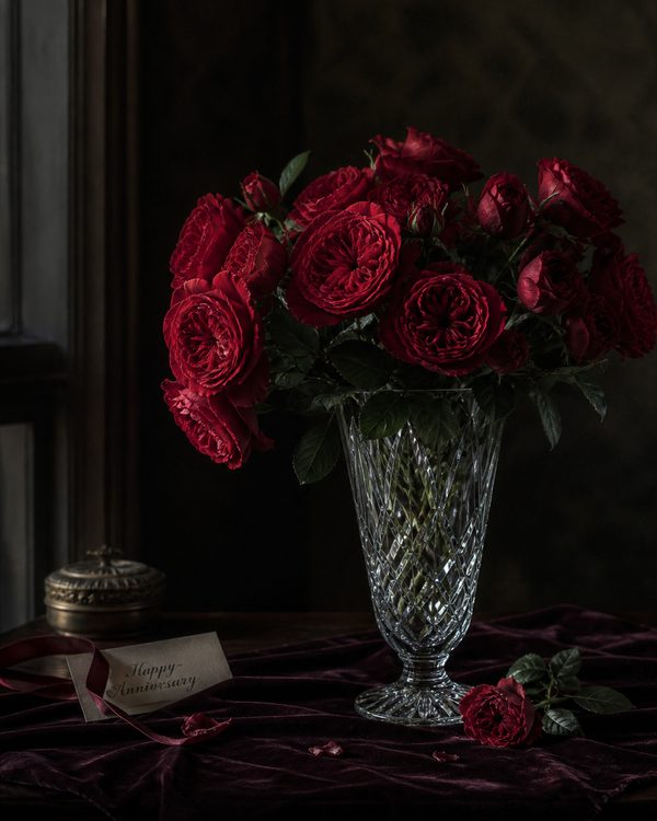 Lush deep red garden roses in a tall crystal vase on a dark velvet runner