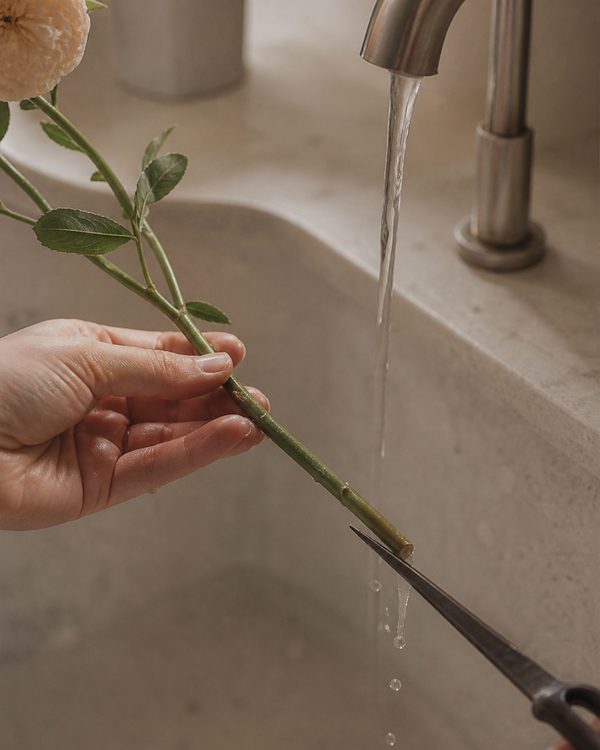 Hand trimming a flower stem at a 45-degree angle under cold running water